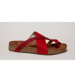 Haflinger Bio Jack